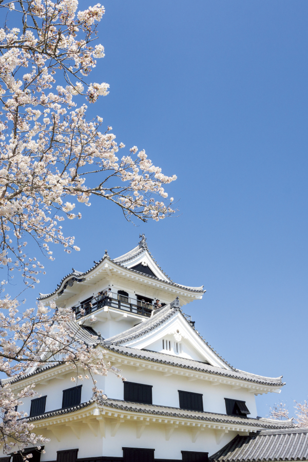館山市城山公園
